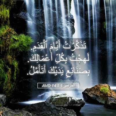 Picture 05 - اَلْمَزَامِيرُ 143:5 AVD - تَذَكَّرْتُ أَيَّامَ - Bible Verse Picture