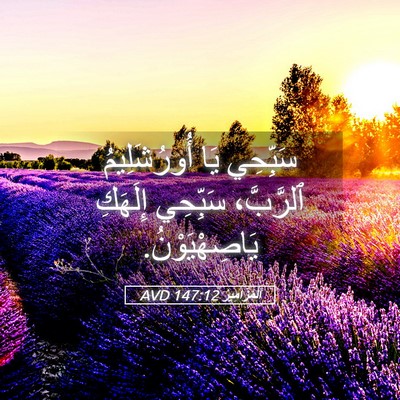 Picture 05 - اَلْمَزَامِيرُ 147:12 AVD - سَبِّحِي يَا أُورُشَلِيمُ - Bible Verse Picture