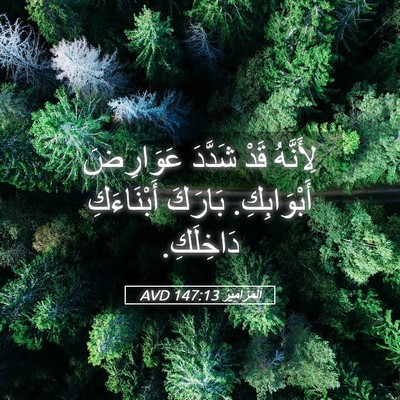 Picture 05 - اَلْمَزَامِيرُ 147:13 AVD - لِأَنَّهُ قَدْ شَدَّدَ - Bible Verse Picture