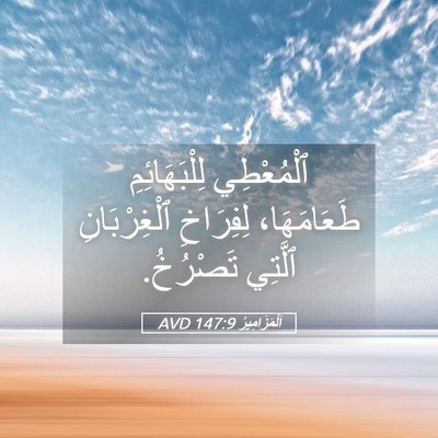 Picture 05 - اَلْمَزَامِيرُ 147:9 AVD - ٱلْمُعْطِي لِلْبَهَائِمِ - Bible Verse Picture