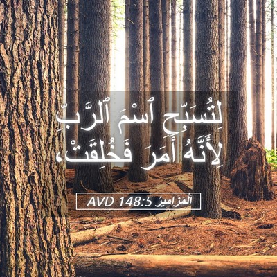 Picture 05 - اَلْمَزَامِيرُ 148:5 AVD - لِتُسَبِّحِ ٱسْمَ - Bible Verse Picture