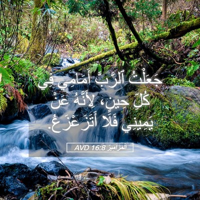 Picture 05 - اَلْمَزَامِيرُ 16:8 AVD - جَعَلْتُ ٱلرَّبَّ - Bible Verse Picture