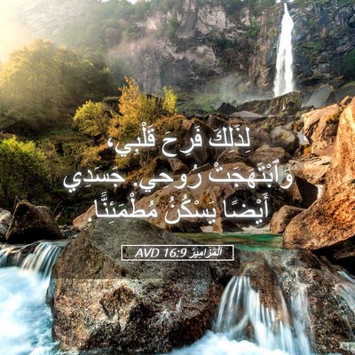 Picture 05 - اَلْمَزَامِيرُ 16:9 AVD - لِذَلِكَ فَرِحَ قَلْبِي، - Bible Verse Picture
