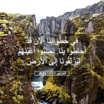 Picture 05 - اَلْمَزَامِيرُ 17:11 AVD - فِي خُطُوَاتِنَا ٱلْآنَ - Bible Verse Picture