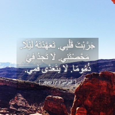 Picture 05 - اَلْمَزَامِيرُ 17:3 AVD - جَرَّبْتَ قَلْبِي. - Bible Verse Picture