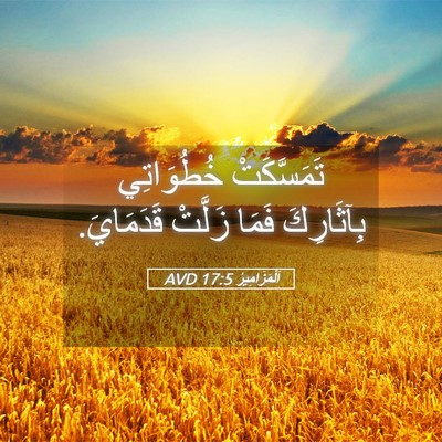 Picture 05 - اَلْمَزَامِيرُ 17:5 AVD - تَمَسَّكَتْ خُطُوَاتِي - Bible Verse Picture