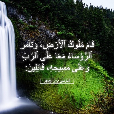 Picture 05 - اَلْمَزَامِيرُ 2:2 AVD - قَامَ مُلُوكُ ٱلْأَرْضِ، - Bible Verse Picture