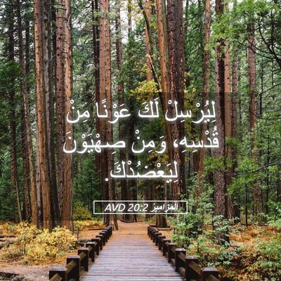 Picture 05 - اَلْمَزَامِيرُ 20:2 AVD - لِيُرْسِلْ لَكَ عَوْنًا - Bible Verse Picture