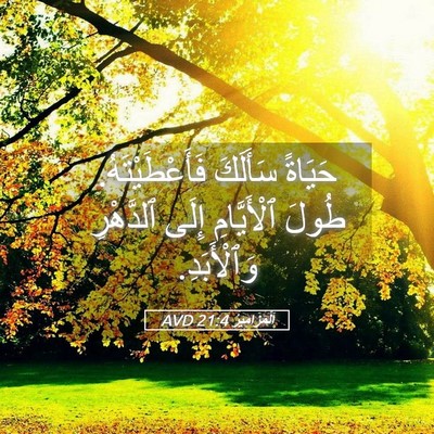 Picture 05 - اَلْمَزَامِيرُ 21:4 AVD - حَيَاةً سَأَلَكَ - Bible Verse Picture