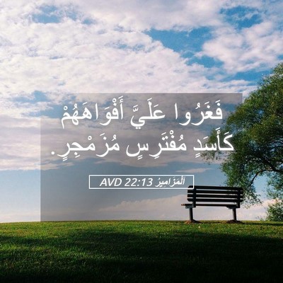 Picture 05 - اَلْمَزَامِيرُ 22:13 AVD - فَغَرُوا عَلَيَّ - Bible Verse Picture