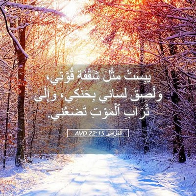 Picture 05 - اَلْمَزَامِيرُ 22:15 AVD - يَبِسَتْ مِثْلَ شَقْفَةٍ - Bible Verse Picture