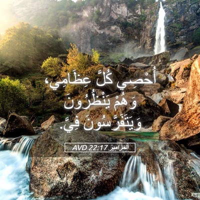 Picture 05 - اَلْمَزَامِيرُ 22:17 AVD - أُحْصِي كُلَّ عِظَامِي، - Bible Verse Picture