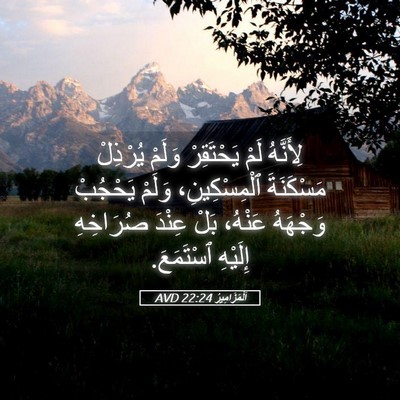 Picture 05 - اَلْمَزَامِيرُ 22:24 AVD - لِأَنَّهُ لَمْ يَحْتَقِرْ - Bible Verse Picture