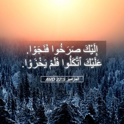 Picture 05 - اَلْمَزَامِيرُ 22:5 AVD - إِلَيْكَ صَرَخُوا - Bible Verse Picture