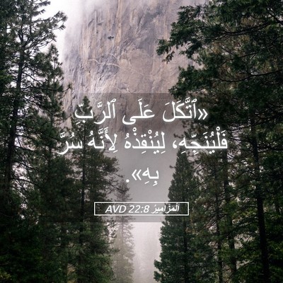 Picture 05 - اَلْمَزَامِيرُ 22:8 AVD - «ٱتَّكَلَ عَلَى ٱلرَّبِّ - Bible Verse Picture
