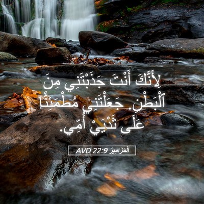 Picture 05 - اَلْمَزَامِيرُ 22:9 AVD - لِأَنَّكَ أَنْتَ - Bible Verse Picture