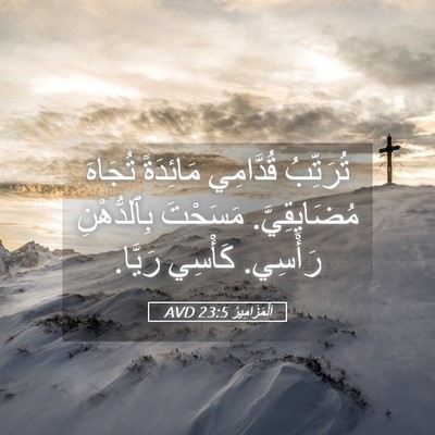 Picture 05 - اَلْمَزَامِيرُ 23:5 AVD - تُرَتِّبُ قُدَّامِي - Bible Verse Picture