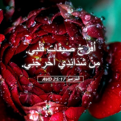 Picture 05 - اَلْمَزَامِيرُ 25:17 AVD - اُفْرُجْ ضِيقَاتِ قَلْبِي. - Bible Verse Picture