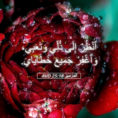 Picture 05 - اَلْمَزَامِيرُ 25:18 AVD - ٱنْظُرْ إِلَى ذُلِّي - Bible Verse Picture
