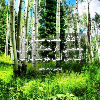Picture 05 - اَلْمَزَامِيرُ 25:7 AVD - لَا تَذْكُرْ خَطَايَا - Bible Verse Picture