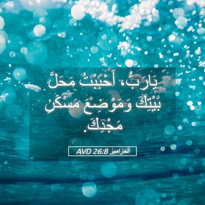 Picture 05 - اَلْمَزَامِيرُ 26:8 AVD - يَارَبُّ، أَحْبَبْتُ - Bible Verse Picture