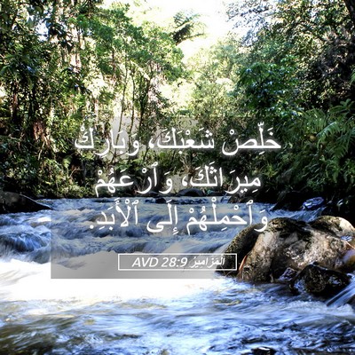 Picture 05 - اَلْمَزَامِيرُ 28:9 AVD - خَلِّصْ شَعْبَكَ، - Bible Verse Picture
