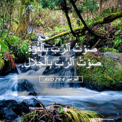 Picture 05 - اَلْمَزَامِيرُ 29:4 AVD - صَوْتُ ٱلرَّبِّ - Bible Verse Picture