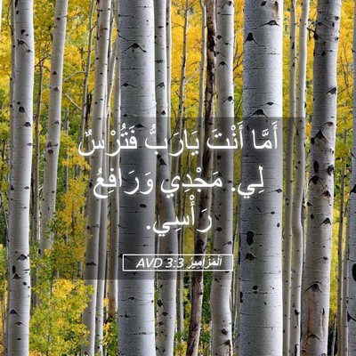 Picture 05 - اَلْمَزَامِيرُ 3:3 AVD - أَمَّا أَنْتَ يَارَبُّ - Bible Verse Picture