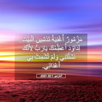 Picture 05 - اَلْمَزَامِيرُ 30:1 AVD - مَزْمُورٌ أُغْنِيَةُ - Bible Verse Picture