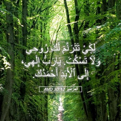 Picture 05 - اَلْمَزَامِيرُ 30:12 AVD - لِكَيْ تَتَرَنَّمَ لَكَ - Bible Verse Picture