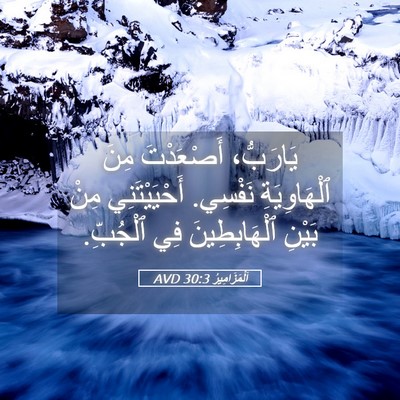 Picture 05 - اَلْمَزَامِيرُ 30:3 AVD - يَارَبُّ، أَصْعَدْتَ مِنَ - Bible Verse Picture