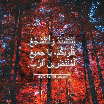 Picture 05 - اَلْمَزَامِيرُ 31:24 AVD - لِتَتَشَدَّدْ - Bible Verse Picture