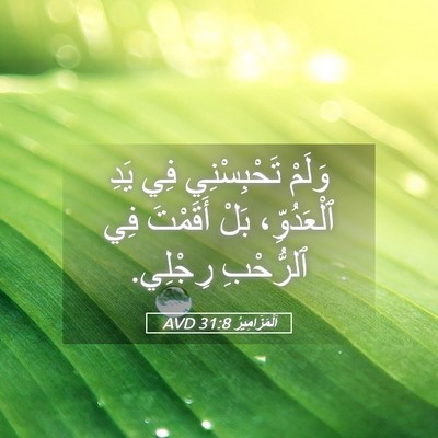 Picture 05 - اَلْمَزَامِيرُ 31:8 AVD - وَلَمْ تَحْبِسْنِي فِي - Bible Verse Picture