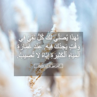 Picture 05 - اَلْمَزَامِيرُ 32:6 AVD - لِهَذَا يُصَلِّي لَكَ - Bible Verse Picture