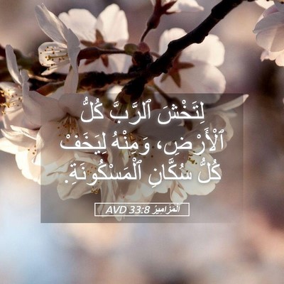 Picture 05 - اَلْمَزَامِيرُ 33:8 AVD - لِتَخْشَ ٱلرَّبَّ كُلُّ - Bible Verse Picture
