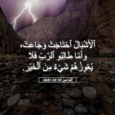 Picture 05 - اَلْمَزَامِيرُ 34:10 AVD - ٱلْأَشْبَالُ ٱحْتَاجَتْ - Bible Verse Picture