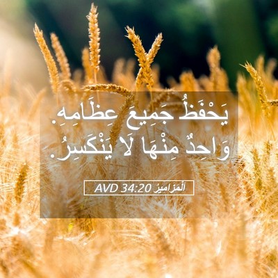 Picture 05 - اَلْمَزَامِيرُ 34:20 AVD - يَحْفَظُ جَمِيعَ - Bible Verse Picture