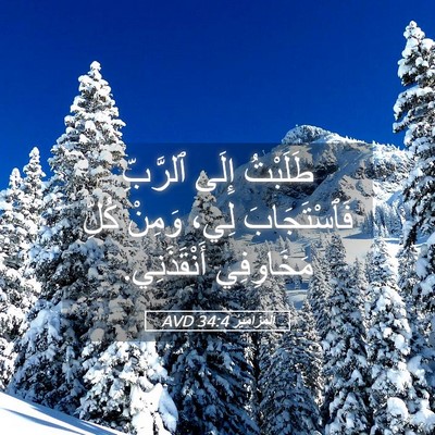 Picture 05 - اَلْمَزَامِيرُ 34:4 AVD - طَلَبْتُ إِلَى ٱلرَّبِّ - Bible Verse Picture