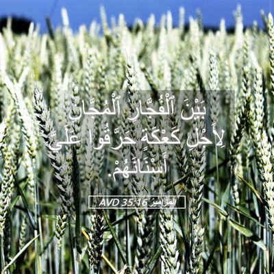 Picture 05 - اَلْمَزَامِيرُ 35:16 AVD - بَيْنَ ٱلْفُجَّارِ - Bible Verse Picture