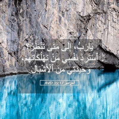 Picture 05 - اَلْمَزَامِيرُ 35:17 AVD - يَارَبُّ، إِلَى مَتَى - Bible Verse Picture