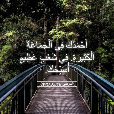 Picture 05 - اَلْمَزَامِيرُ 35:18 AVD - أَحْمَدُكَ فِي - Bible Verse Picture