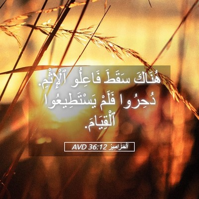 Picture 05 - اَلْمَزَامِيرُ 36:12 AVD - هُنَاكَ سَقَطَ فَاعِلُو - Bible Verse Picture