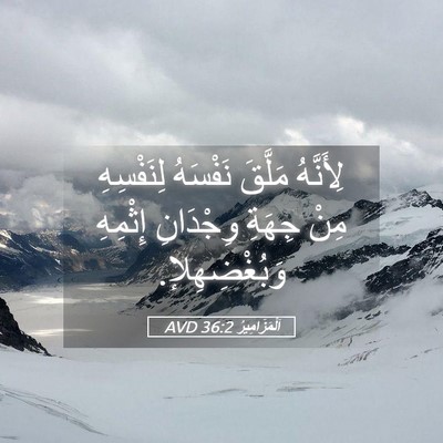 Picture 05 - اَلْمَزَامِيرُ 36:2 AVD - لِأَنَّهُ مَلَّقَ - Bible Verse Picture