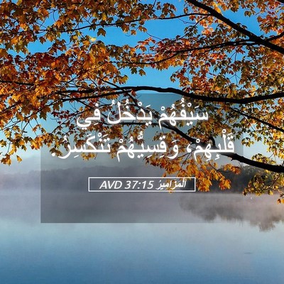 Picture 05 - اَلْمَزَامِيرُ 37:15 AVD - سَيْفُهُمْ يَدْخُلُ فِي - Bible Verse Picture