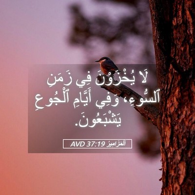 Picture 05 - اَلْمَزَامِيرُ 37:19 AVD - لَا يُخْزَوْنَ فِي زَمَنِ - Bible Verse Picture