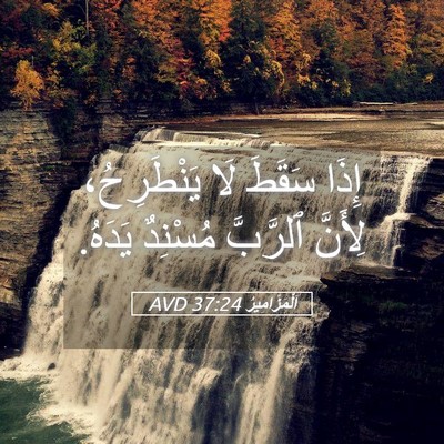 Picture 05 - اَلْمَزَامِيرُ 37:24 AVD - إِذَا سَقَطَ لَا - Bible Verse Picture