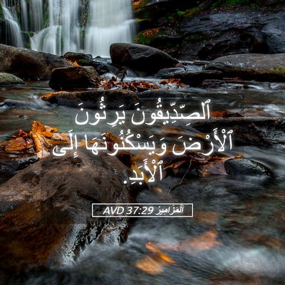 Picture 05 - اَلْمَزَامِيرُ 37:29 AVD - ٱلصِّدِّيقُونَ يَرِثُونَ - Bible Verse Picture