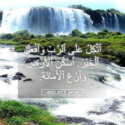 Picture 05 - اَلْمَزَامِيرُ 37:3 AVD - ٱتَّكِلْ عَلَى ٱلرَّبِّ - Bible Verse Picture