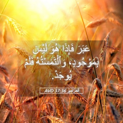 Picture 05 - اَلْمَزَامِيرُ 37:36 AVD - عَبَرَ فَإِذَا هُوَ لَيْسَ - Bible Verse Picture
