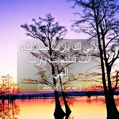 Picture 05 - اَلْمَزَامِيرُ 38:15 AVD - لِأَنِّي لَكَ يَارَبُّ - Bible Verse Picture